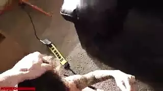 ماراثون نيك قاسي: لحس الفتحتين ثم مص يسبب اختناق