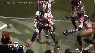 دينا الراصه