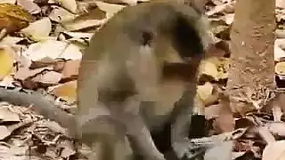 حفلة جنسية طوال اليوم في غرفة النوم مع فتيات شقراوات يحببن الأمر بخشونة