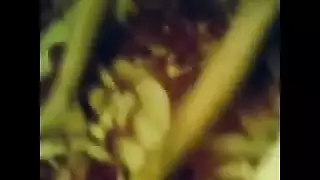 بنات مصر كلام